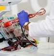 Agente de saúde recolhe plasma de paciente recuperada de Covid-19 em hospital de Seattle
17/04/2020
REUTERS/Lindsey Wasson/File Photo  Foto: Reuters