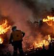 Congresso pode votar em setembro os principais projetos da agenda ambiental  Foto: Reuters / BBC News Brasil
