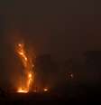Incêndios atingem Patanal
29/08/2020
REUTERS/Amanda Perobelli
  Foto: Reuters