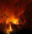 Fumaça e chamas de queimada no Pantanal, em Poconé, no Mato Grosso
03/09/2020
REUTERS/Amanda Perobelli  Foto: Reuters