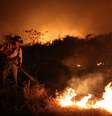 Homem tenta combater fogo no Pantanal
26/08/2020 REUTERS/Amanda Perobelli  Foto: Reuters