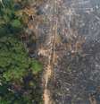 "A proteção ambiental e as reivindicações indígenas e quilombolas se chocam com os interesses privatistas na Amazônia"  Foto: DW / Deutsche Welle