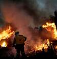 Bombeiros lutam contra incêndio na floresta amazônica, em Apuí (AM)
11/08/2020
REUTERS/Ueslei Marcelino  Foto: Reuters