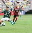 Palmeiras x Flamengo não deve ser adiado, mesmo com pedido do Fla (Foto: Peter Leone/Ofotografico/Lancepress!)  Foto: LANCE!
