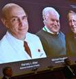 Harvey J. Alter, Michael Houghton e Charles M. Rice foram os vencedores do Nobel da Medicina em 2020  Foto: Claudio Bresciani/TT News Agency / Reuters