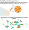grafico  Foto: BBC News Brasil