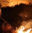 No Pantanal, 95% dos focos de calor deste ano ocorreram no período proibido  Foto: DW / Deutsche Welle