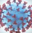 Ilustração do coronavírus  Foto: Science Photo Library / BBC News Brasil