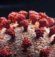 Coronavirus  Foto: Getty Images / BBC News Brasil