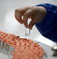 Funcionário inspeciona frascos em unidade da chinesa Sinovac Biotech em Pequim
24/09/2020
REUTERS/Thomas Peter  Foto: Reuters