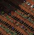 Covas são abertas no cemitério da Vila Formosa, em São Paulo, durante pandemia de Covid-19
02/04/2020 REUTERS/Amanda Perobelli  Foto: Reuters