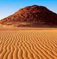 Os países que fazem parte do Sahel estão plantando árvores para conter o avanço do deserto do Saara  Foto: Getty Images / BBC News Brasil