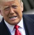 Presidente Donald Trump disse que obteve 'grande vitória'  Foto: ANSA / Ansa - Brasil