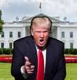“Você está demitido!”: Trump poderá voltar a dizer seu bordão na TV  Foto: Fotomontagem: Blog Sala de TV  / Blog Sala de TV