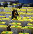 Jordânia se prepara para eleições em meio a aumento de casos de coronavírus. REUTERS/Muhammad Hamed  Foto: Reuters
