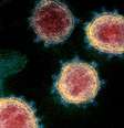 Cientistas não descartam que o gene misterioso encontrado contribua para a biologia única do vírus  Foto: Getty Images / BBC News Brasil