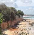 Falésia desmorona na praia da Pipa  Foto: YouTube/Reprodução / Estadão Conteúdo
