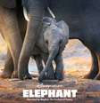 Elephant, documentário do Disney+, é narrado por Meghan Markle, duquesa de Sussex  Foto: Twitter @Disneynature / Reprodução