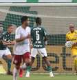 Jailson, goleiro do Palmeiras, testou positivo para o novo coronavírus  Foto: Cesar Greco/Palmeiras