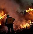 Brasil é soberano na Amazônia, mas deveria gerir a floresta para benefício de todos, diz eurodeputada  Foto: Reuters / BBC News Brasil