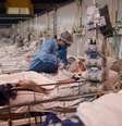 Enfermeira trata de paciente com Covid-19 em hospital de campanha em Santo André (SP)
01/01/2021
REUTERS/Amanda Perobelli  Foto: Reuters