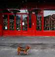 Restaurante fechado em Paris 
05/01/2021
REUTERS/Gonzalo Fuentes  Foto: Reuters