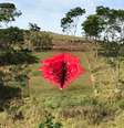 "Vulva gigante" foi construída em uma encosta, em Pernambuco, pela artista Juliana Notari  Foto: Juliana Notari / Reprodução