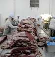 Cortes de carne bovina em frigorífico em Santana de Parnaíba (SP) 
19/12/2017
REUTERS/Paulo Whitaker  Foto: Reuters