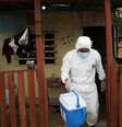 O Estado do Amazonas contabiliza até o momento 219.544 casos e 5.879 mortes por covid-19.  Foto: Reuters / BBC News Brasil