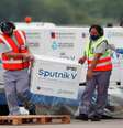 Carregamento de Sputnik V chega a Buenos Aires
28/1/2021 REUTERS/Agustin Marcarian  Foto: Reuters