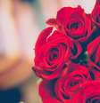 Veja como fazer banho de rosas -  Foto: Pexels / João Bidu