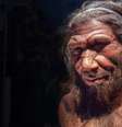 Reconstituição de como seria um neandertal adulto   Foto: Flavio Massari/Alamy / Meio Bit