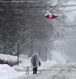 Homem caminha com cachorro em rua coberta de neve em Nyack, subúrbio de Nova York
18/02/2021
REUTERS/Mike Segar  Foto: Reuters