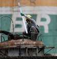 Trabalhador checa nível de combustível em vagão-tanque 
REUTERS/Ueslei Marcelino  Foto: Reuters