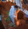 Brasil registra 1.212 mortes por covid-19 em 24 horas  Foto: DW / Deutsche Welle