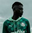 Novo uniforme do Palmeiras foi divulgado nesta terça-feira  Foto: Divulgação / Estadão
