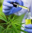 Óleo produzido a partir da cannabis é usado por pacientes com epilepsia, câncer e outras enfermidades graves  Foto: Getty Images / BBC News Brasil