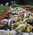  Foto: Carla Carniel / Reuters