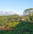 Monastério Kauai Aadheenam, que fica no sul da Índia  Foto: Arquivo Pessoal Satyanatha