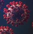 Foram 494.153 novos casos da doença causada pelo novo coronavírus e 12.335 mortes no período no Brasil, contra 461.190 e 9.381, respectivamente, nos Estados Unidos.  Foto: Getty Images / BBC News Brasil