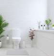Feng Shui. Tome cuidado com o ladrão de energia da sua casa: o banheiro  Foto: onurdongel / iStock