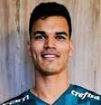 Danilo Barbosa é novo reforço do Palmeiras  Foto: Divulgação/Palmeiras / Estadão