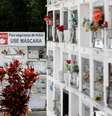  Foto: Diego Vara / Reuters