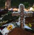  Foto: Ronaldo Silva / Reuters