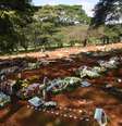  Foto: Ronaldo Silva / Reuters