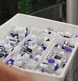 Doses da vacina da Pfizer; empresa afirmou que governo federal rejeitou compra de 70 milhões de doses no ano passado  Foto: Tony Wiston/MS / BBC News Brasil