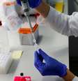 Índice oficial de testagem no Brasil mostra o país com taxa semelhante à Zâmbia, que aparece na posição 88 em ranking com 111 países  Foto: Reuters / BBC News Brasil