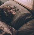 dormir sono   Foto:  Gregory Pappas / Unsplash