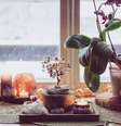 Atraia um novo amor e mais paixão fazendo um altar do amor  Foto: iStock