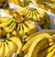 Conquiste um amor com essas simpatias poderosas - Shutterstock  Foto: João Bidu